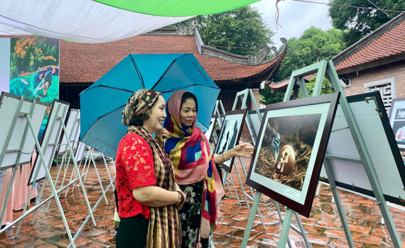 Triển l&atilde;m 238 t&aacute;c phẩm ảnh nghệ thuật Việt Nam 2020