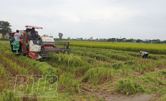 C&ocirc;ng điện khẩn số 09 của Ban Thường vụ Tỉnh ủy