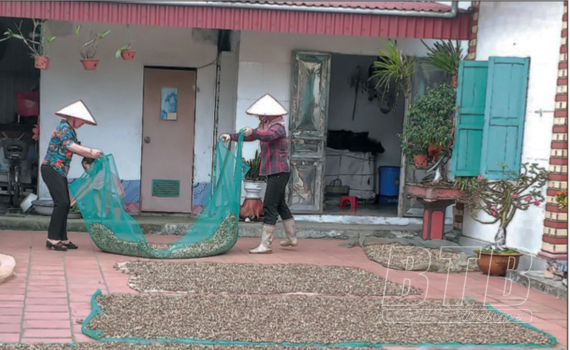 &ldquo;5 kh&ocirc;ng&rdquo; g&oacute;p phần ph&aacute;t triển kinh tế - x&atilde; hội