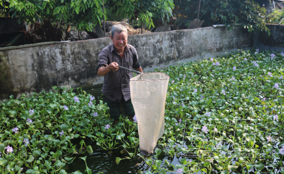 Tuổi cao ch&iacute; c&agrave;ng cao