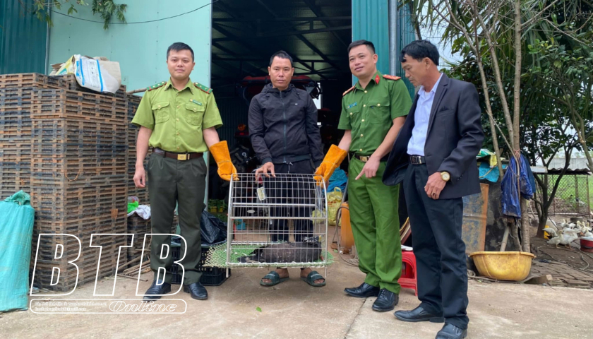 Người d&acirc;n b&agrave;n giao lo&agrave;i chim diều hoa Miến Điện qu&yacute; hiếm