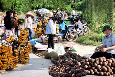 Quy hoạch, ph&aacute;t triển mạng lưới chợ n&ocirc;ng th&ocirc;n ở Th&aacute;i Thụy