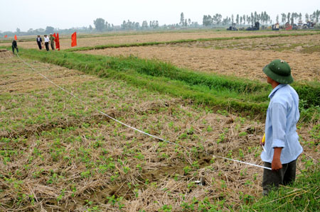 Kh&iacute; thế dồn điền, đổi thửa ở H&ugrave;ng Dũng