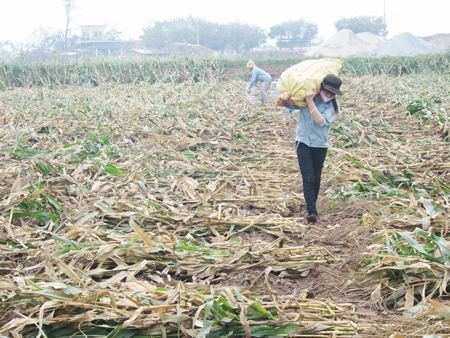 Ng&agrave;y mới ở Hưng H&agrave;