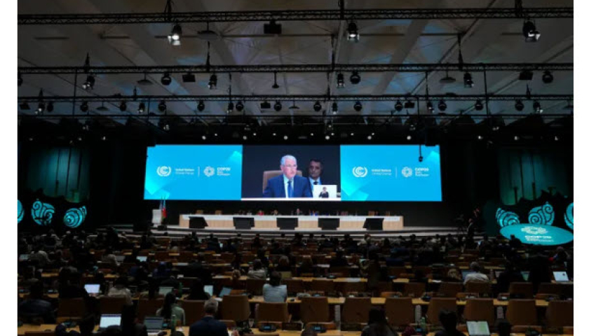 COP29 - Sự kiện hướng đến tương lai bền vững