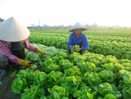 "Du lịch" tr&ecirc;n thị trường