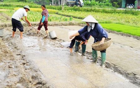 N&ocirc;ng d&acirc;n &ldquo;phớt lờ&rdquo; lịch thời vụ