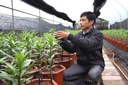 L&agrave;m gi&agrave;u từ trồng hoa 