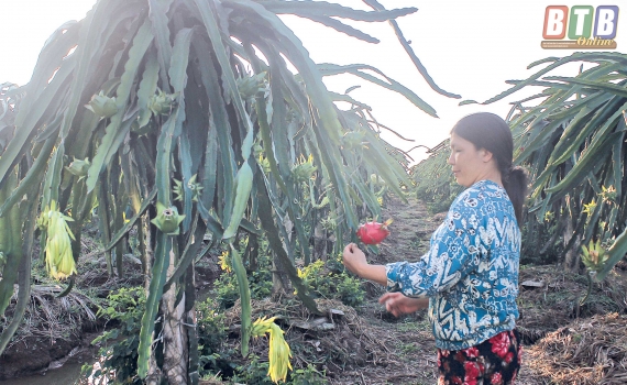 Cựu chiến binh xã Hồng Châu góp phần đẩy lùi ma túy