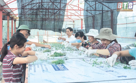 Cầu nối &ldquo;4 nh&agrave;&rdquo;