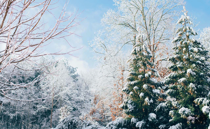 điểm ngắm tuyết rơi