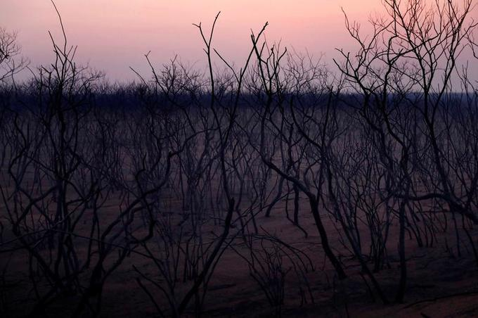 12 ảnh phong cảnh ấn tượng năm 2019