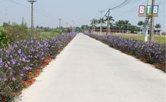 Vũ Thư: 103 km đường hoa l&agrave;m đẹp n&ocirc;ng th&ocirc;n mới