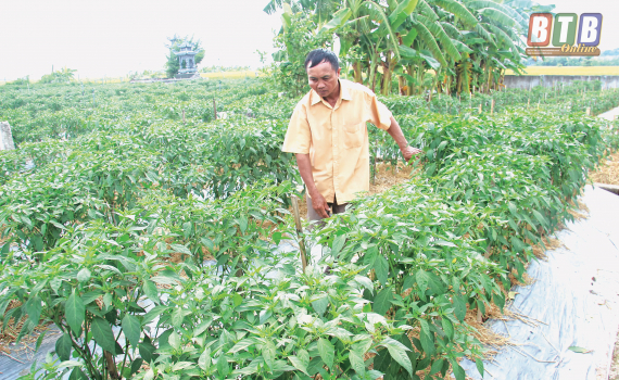 Hội N&ocirc;ng d&acirc;n huyện Tiền Hải: G&oacute;p sức x&acirc;y dựng n&ocirc;ng th&ocirc;n mới