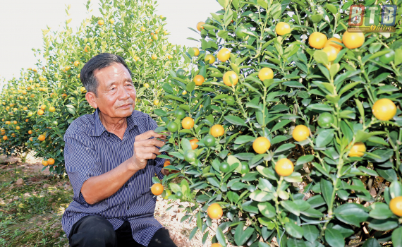 Gi&aacute;ng sinh n&agrave;y vui hơn