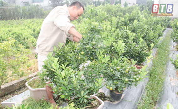 Hiền &ldquo;quất&rdquo;