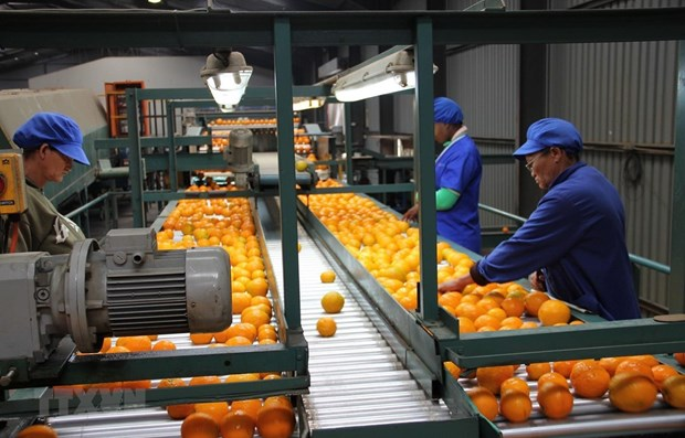 Nhin lai the gioi 2019: Cac xu huong chien luoc o chau Phi hinh anh 1