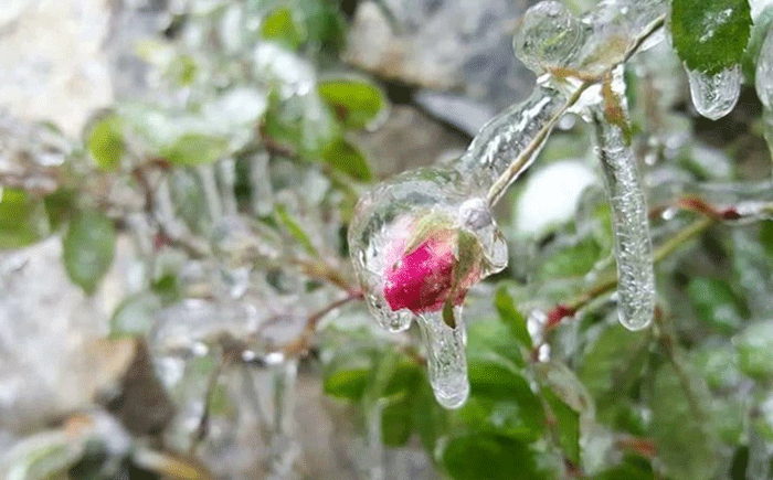 điểm ngắm tuyết rơi