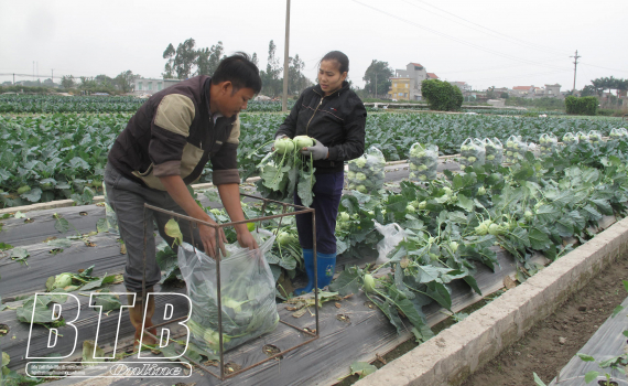 &ldquo;Định danh&rdquo; n&ocirc;ng sản