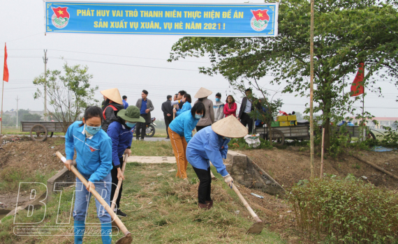 Huyện đoàn Quỳnh Phụ ra quân làm thủy lợi nội đồng