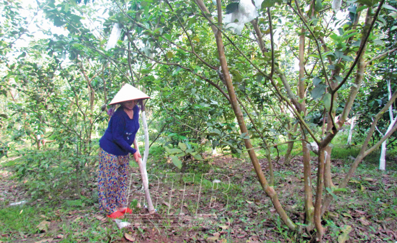 Tiến Đức phấn đấu sớm về đ&iacute;ch NTM n&acirc;ng cao