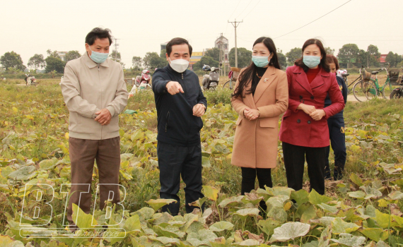 Đồng ch&iacute; Nguyễn Tiến Th&agrave;nh, Ph&oacute; B&iacute; thư thường trực Tỉnh ủy, Chủ tịch HĐND tỉnh thăm một số m&ocirc; h&igrave;nh sản xuất vụ đ&ocirc;ng của phụ nữ huyện Hưng H&agrave;