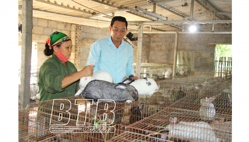 Bắt đất kh&oacute; cho &ldquo;quả ngọt&rdquo;