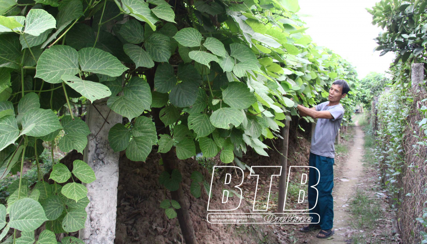 Cổ Dũng 2 - th&ocirc;n văn h&oacute;a ti&ecirc;u biểu