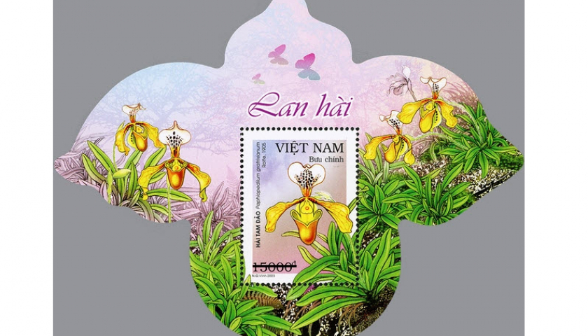 Ph&aacute;t h&agrave;nh bộ tem về c&aacute;c lo&agrave;i lan h&agrave;i Việt Nam