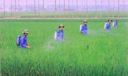 G&oacute;p sức dựng x&acirc;y qu&ecirc; hương