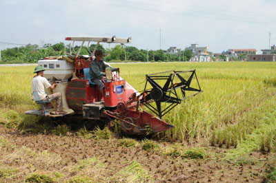 Nh&igrave;n lại v&agrave; vươn tới
