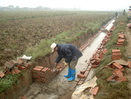 Bước tiến mới trong sản xuất vụ xu&acirc;n ở Th&aacute;i T&acirc;n