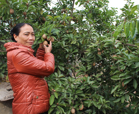 D&agrave;nh dụm lương hưu ủng hộ 22,5 triệu đồng l&agrave;m đường giao th&ocirc;ng n&ocirc;ng th&ocirc;n

