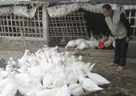 Đẩy mạnh phong tr&agrave;o sản xuất kinh doanh giỏi