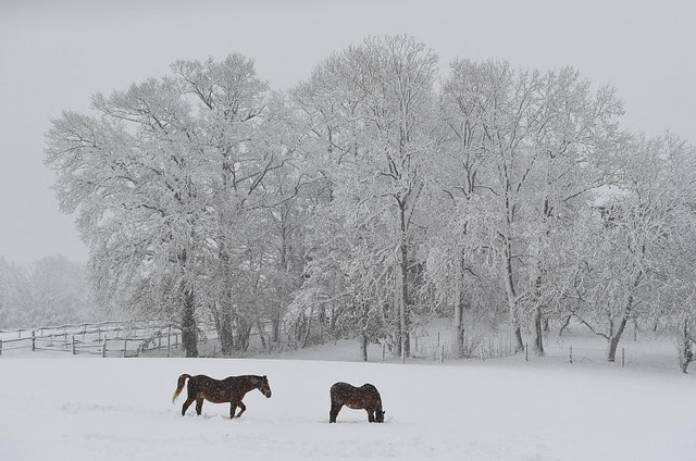 Tuyết rơi làm tê liệt giao thông châu Âu - Ảnh 7.