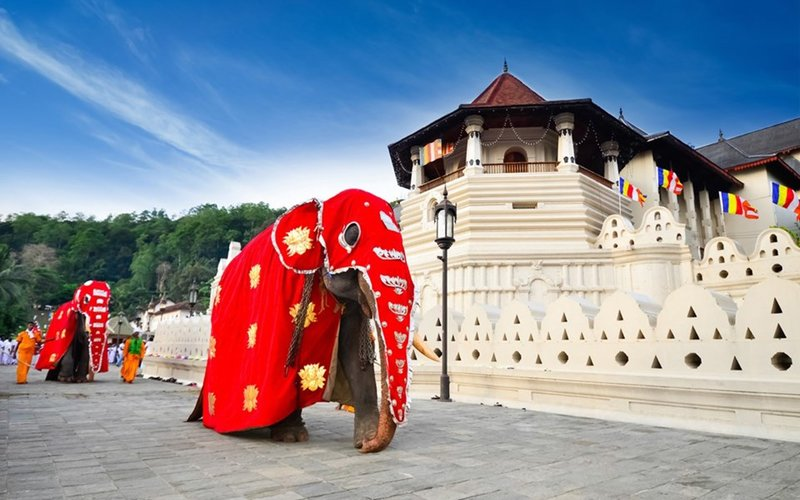 8 trải nghiệm đáng thử nhất tại quốc đảo Sri Lanka 8 trải nghiệm đáng thử nhất tại quốc đảo Sri Lanka