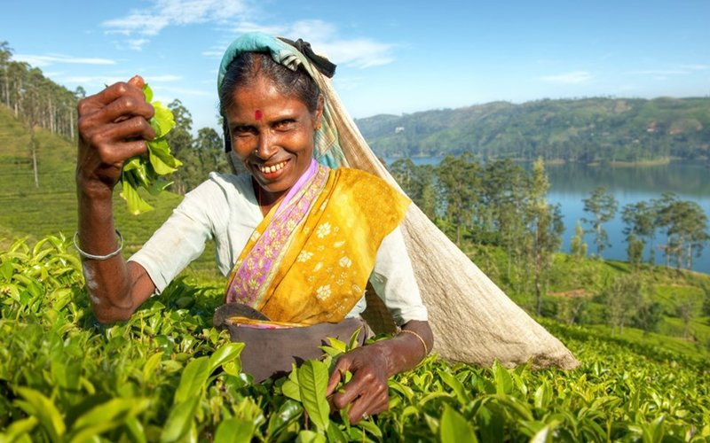 8 trải nghiệm đáng thử nhất tại quốc đảo Sri Lanka 8 trải nghiệm đáng thử nhất tại quốc đảo Sri Lanka