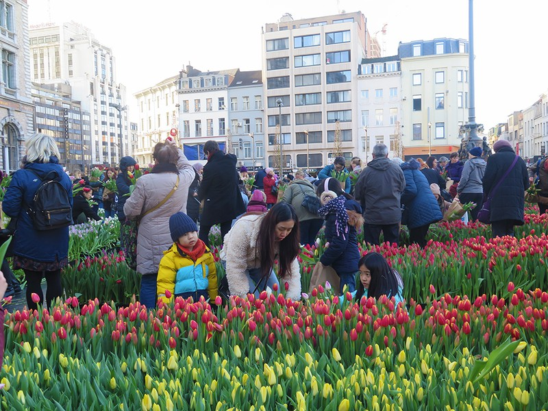 doc dao le hoi hai hoa tuy lip tai bi hinh 3