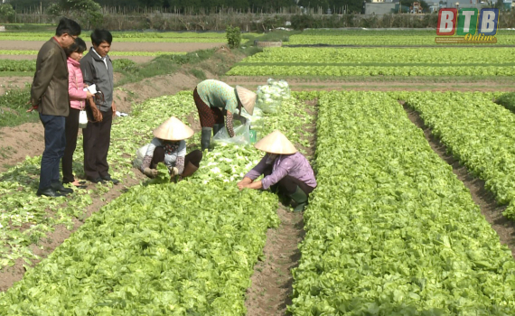 Hội N&ocirc;ng d&acirc;n th&agrave;nh phố Th&aacute;i B&igrave;nh: 75% hội vi&ecirc;n đạt danh hiệu sản xuất kinh doanh giỏi