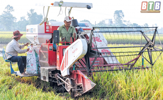 Hướng tới n&ocirc;ng th&ocirc;n mới n&acirc;ng cao, kiểu mẫu