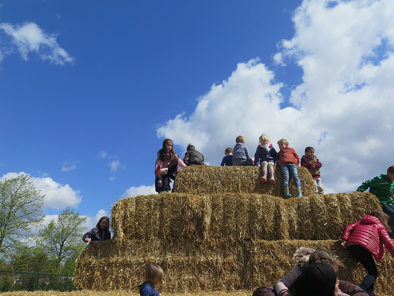 doc dao le hoi hai hoa tuy lip tai bi hinh 13