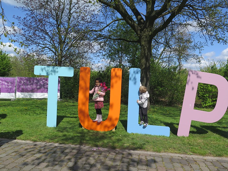 doc dao le hoi hai hoa tuy lip tai bi hinh 10