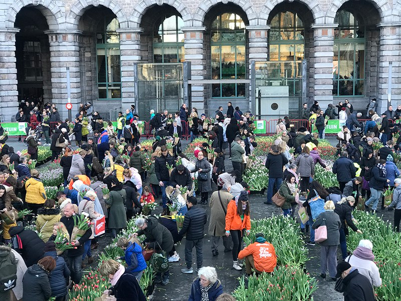 doc dao le hoi hai hoa tuy lip tai bi hinh 4