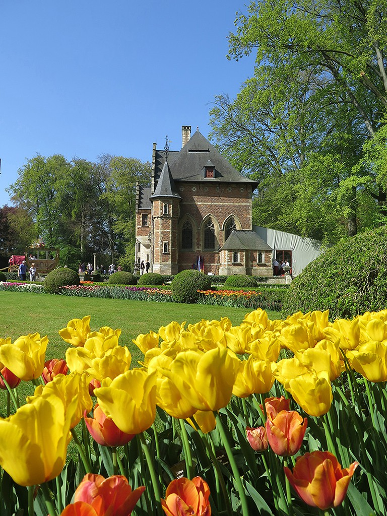 doc dao le hoi hai hoa tuy lip tai bi hinh 15