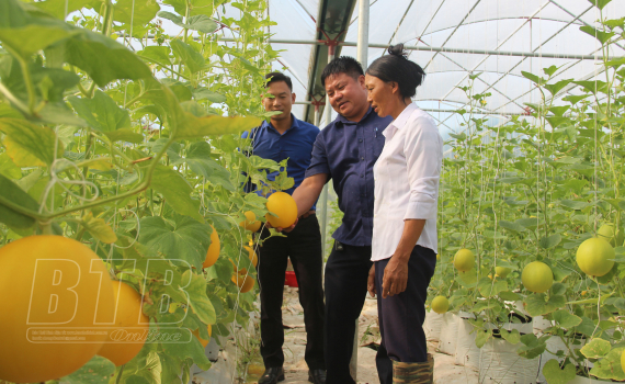 Bừng l&ecirc;n sức sống mới