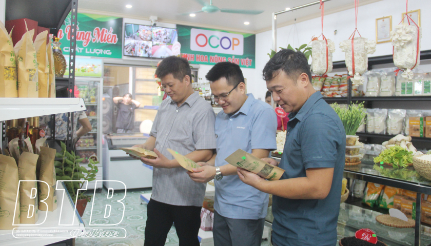 X&acirc;y dựng n&ocirc;ng th&ocirc;n mới ở Quỳnh Phụ