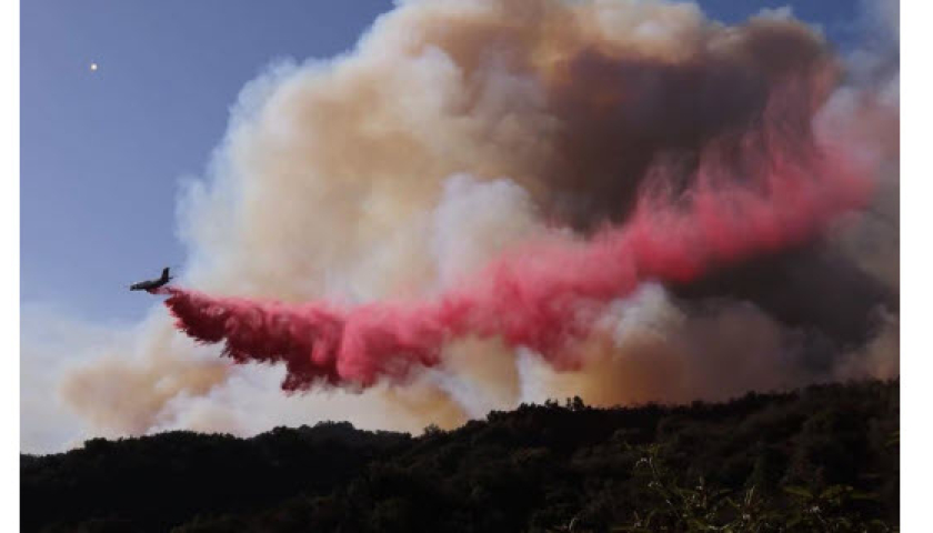 Ch&aacute;y rừng ở Los Angeles, Mỹ: 92.000 người phải đi sơ t&aacute;n, &iacute;t nhất 25 người thiệt mạng