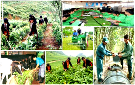 Ch&iacute;nh s&aacute;ch mới c&oacute; hiệu lực từ th&aacute;ng 2/2013