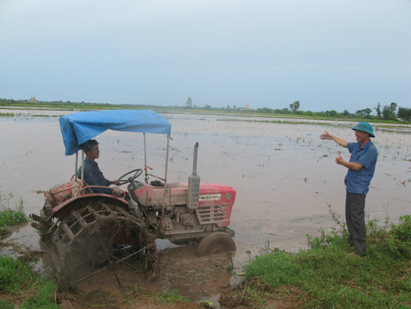 Xu&acirc;n về tr&ecirc;n c&aacute;nh đồng Tiền Hải