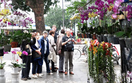 Tết Qu&yacute; Tỵ 2013: Hoạt động văn h&oacute;a, thể thao v&agrave; du lịch được tổ chức s&ocirc;i nổi trong cả nước 
 
 
 
